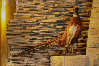 Баня на дровах «Медвежий угол» відгуки, лазня/сауна Одесса Киевский район Пгт Таирово ул.Звездная дом 3, фото, адреса з картою проїзду.