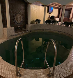 VIP Сауна JIM BEAM відгуки, лазня/сауна Одесса Малиновский район ул. Радостная, 15, фото, адреса з картою проїзду.